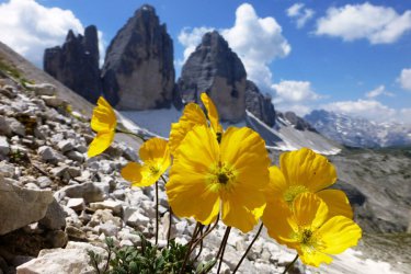 Wanderführer Südtirol 4